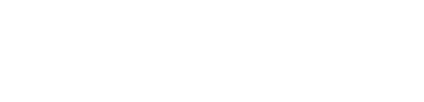 NBV Global Enterprises